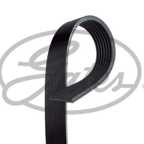 KANALLI KAYIŞ TRANSIT V363-V348 11>14 2.2 TDCI 155PS KLIMASIZ