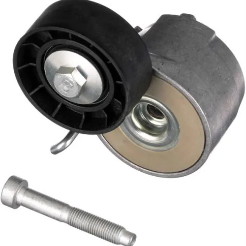 ALTERNATÖR GERGİ RULMANI KÜTÜKLÜ DOBLO-PALIO-ALBEA-SIENA-FIORINO-NEMO-BIPPER-PUNTO-FORD KA 1.3MTJ
