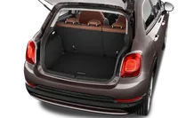 500X (334) - TRUNK