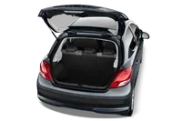 207 - TRUNK